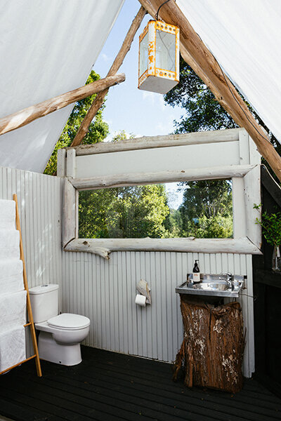 Wild forest glamping 034